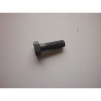 Little end bolt L12